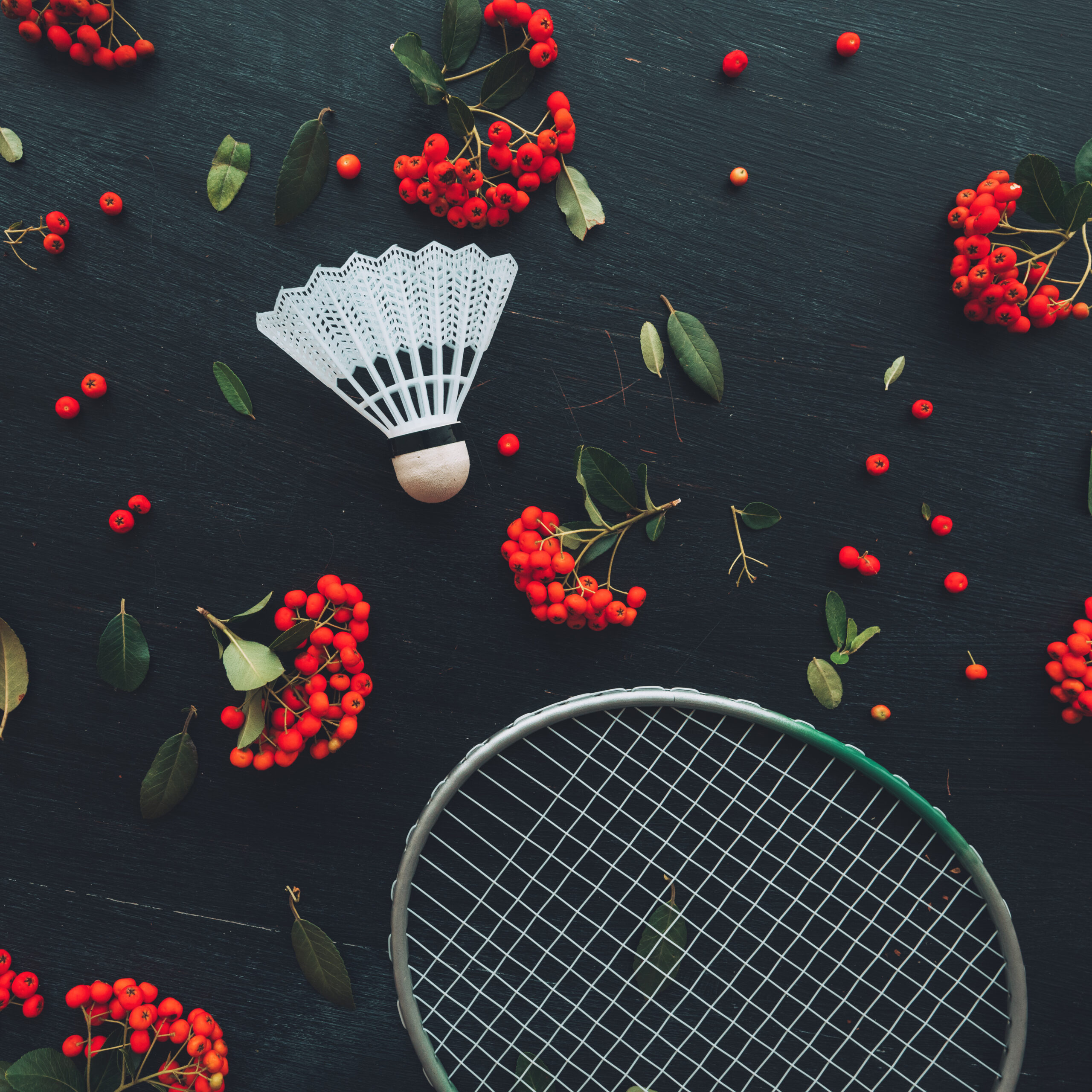 Commonwealth bronze medallist Murphy retires from squash