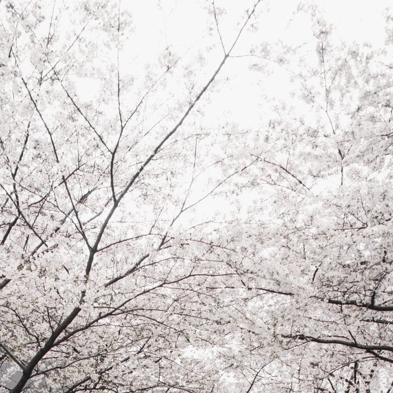 Yamanashi